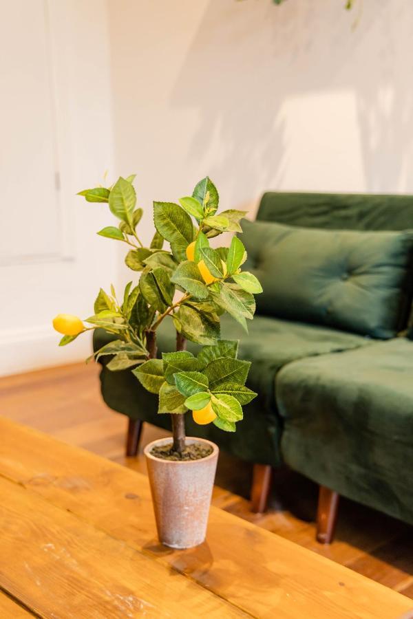 2Cq*Morden Studio Flat *Moments Away From Brighton Seafront Exterior photo